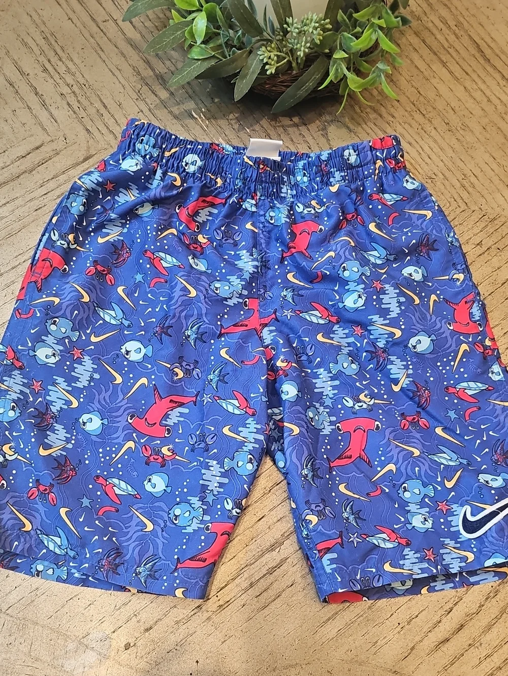Nike Swim Trunks Size M